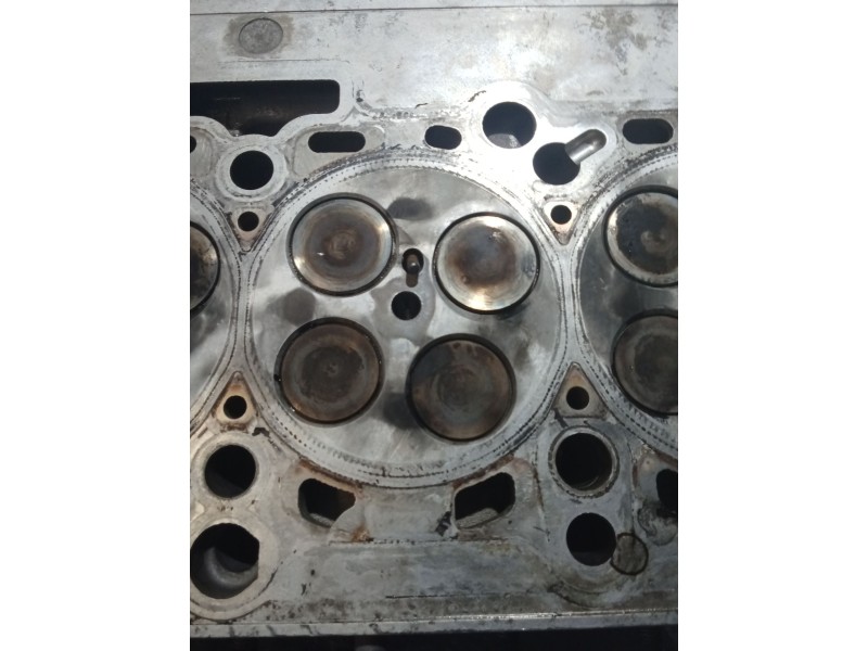 Recambio de culata para seat exeo st (3r5) 2.0 tdi referencia OEM IAM 03L103373E CAG 08