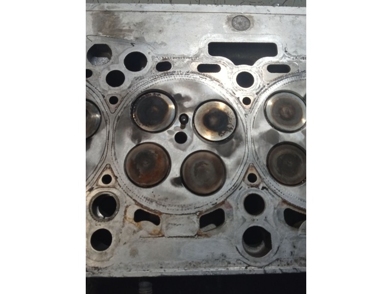 Recambio de culata para seat exeo st (3r5) 2.0 tdi referencia OEM IAM 03L103373E CAG 08