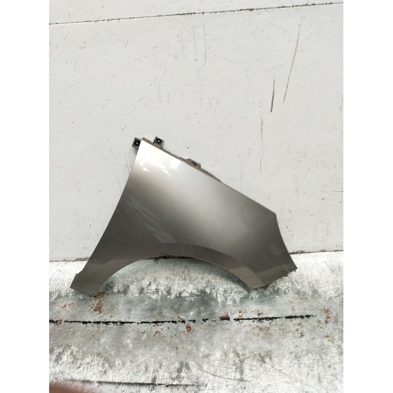 Recambio de aleta delantera derecha para renault scénic iii (jz0/1_) 1.5 dci (jz02, jz0r) referencia OEM IAM   2009