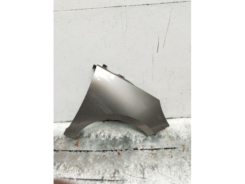 Recambio de aleta delantera derecha para renault scénic iii (jz0/1_) 1.5 dci (jz02, jz0r) referencia OEM IAM   2009