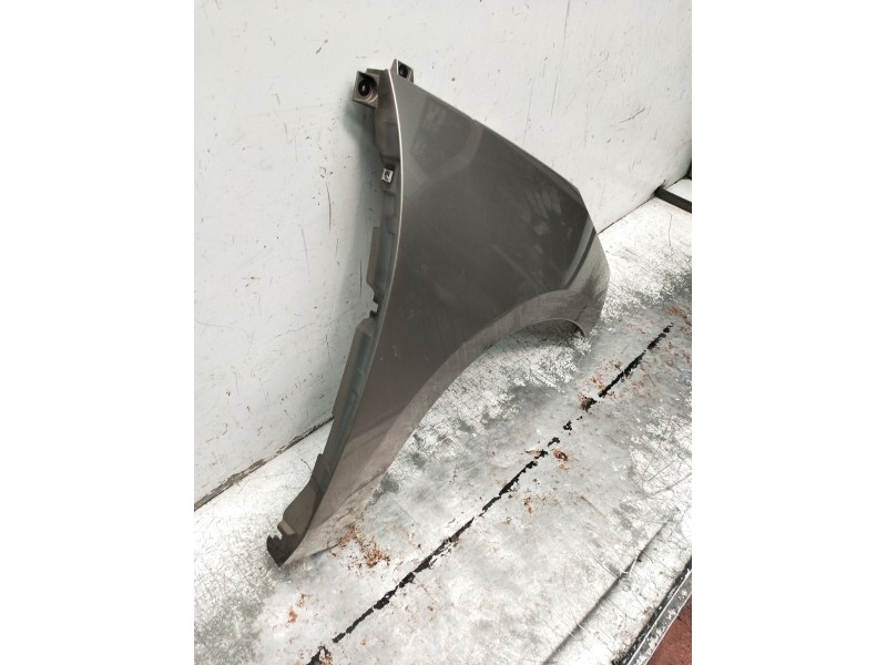 Recambio de aleta delantera derecha para renault scénic iii (jz0/1_) 1.5 dci (jz02, jz0r) referencia OEM IAM   2009