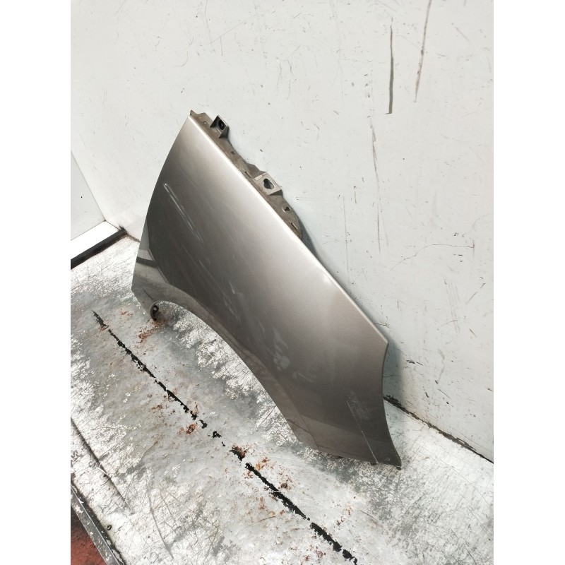 Recambio de aleta delantera derecha para renault scénic iii (jz0/1_) 1.5 dci (jz02, jz0r) referencia OEM IAM   2009