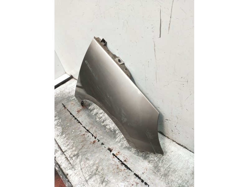 Recambio de aleta delantera derecha para renault scénic iii (jz0/1_) 1.5 dci (jz02, jz0r) referencia OEM IAM   2009