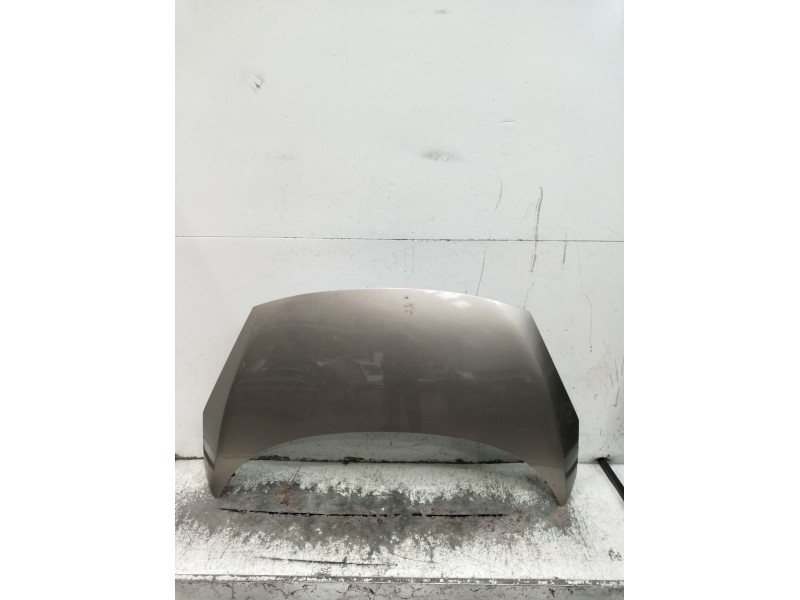 Recambio de capot para renault scénic iii (jz0/1_) 1.5 dci (jz02, jz0r) referencia OEM IAM   2009