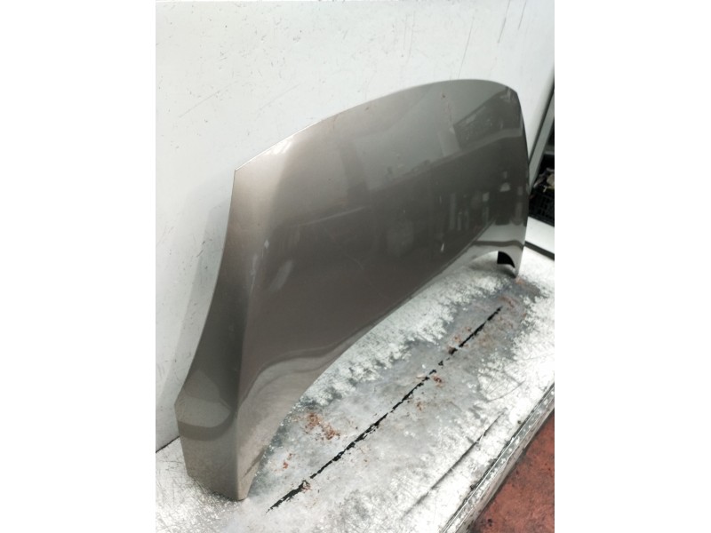 Recambio de capot para renault scénic iii (jz0/1_) 1.5 dci (jz02, jz0r) referencia OEM IAM   2009
