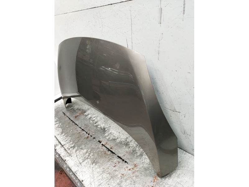 Recambio de capot para renault scénic iii (jz0/1_) 1.5 dci (jz02, jz0r) referencia OEM IAM   2009