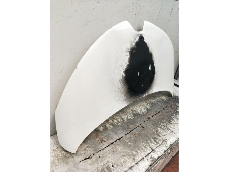 Recambio de capot para renault zoe (bfm_) zoe referencia OEM IAM   2016