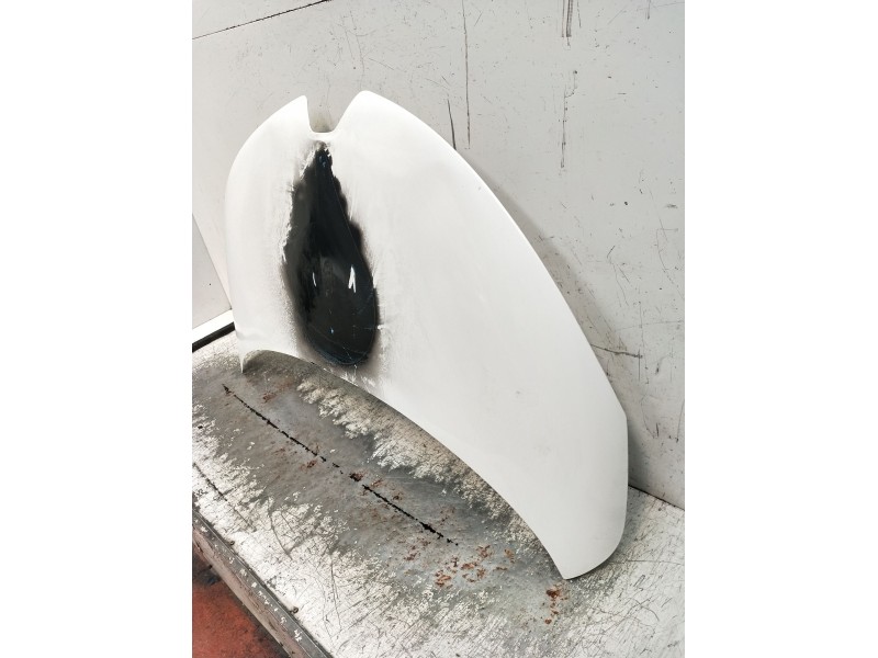 Recambio de capot para renault zoe (bfm_) zoe referencia OEM IAM   2016