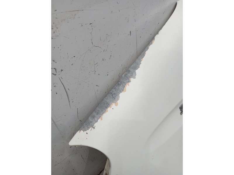 Recambio de aleta delantera izquierda para iveco daily iv caja/chasis 35c15 referencia OEM IAM   