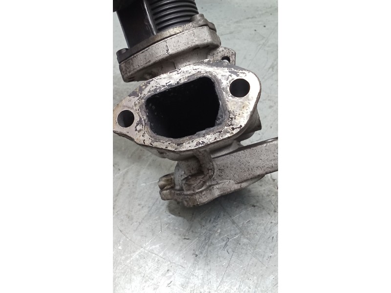 Recambio de valvula egr para fiat linea (323_, 110_) 1.3 d multijet (323axb11, 323axb1a) referencia OEM IAM 55204941  07