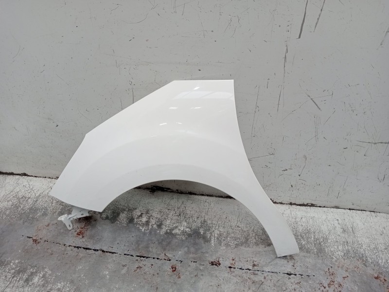 Recambio de aleta delantera izquierda para citroën c3 ii (sc_) 1.0 vti 68 referencia OEM IAM   2009