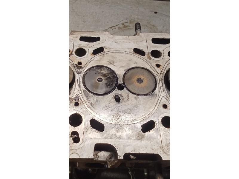 Recambio de culata para opel zafira / zafira family b (a05) 1.9 cdti (m75) referencia OEM IAM 55193091 Z19DT 05