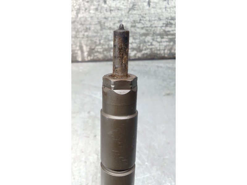 Recambio de inyector para land rover range rover sport v6 td s referencia OEM IAM 0445116013 9X2Q9K546DB BOSCH
