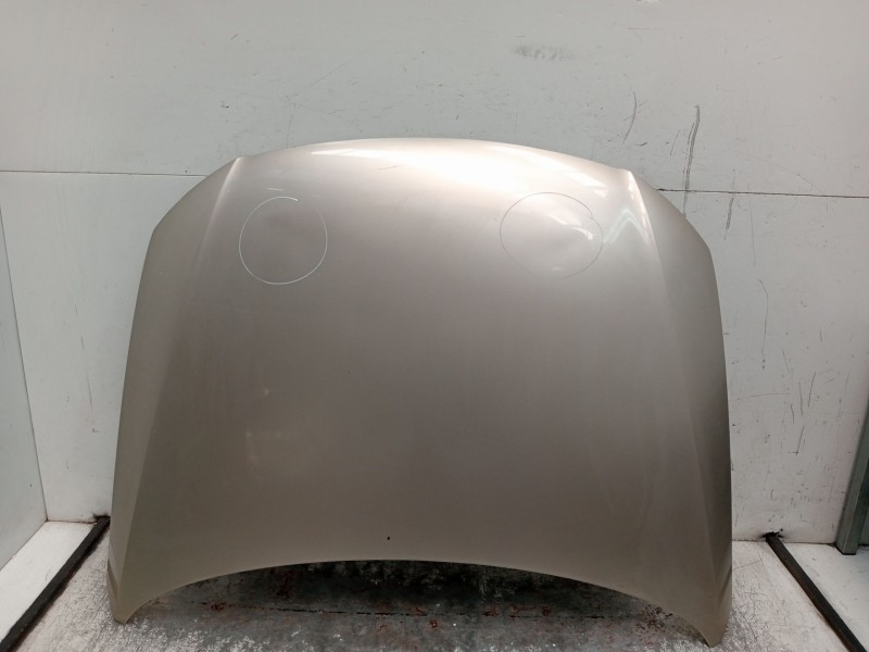 Recambio de capot para volkswagen passat b6 (3c2) 2.0 tdi 16v referencia OEM IAM   