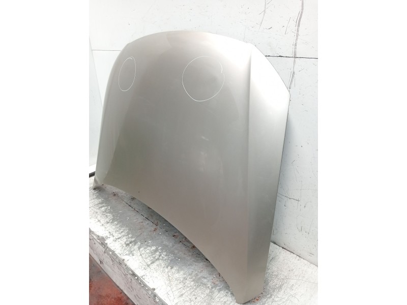 Recambio de capot para volkswagen passat b6 (3c2) 2.0 tdi 16v referencia OEM IAM   