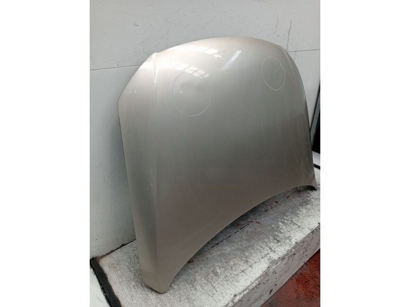 Recambio de capot para volkswagen passat b6 (3c2) 2.0 tdi 16v referencia OEM IAM   