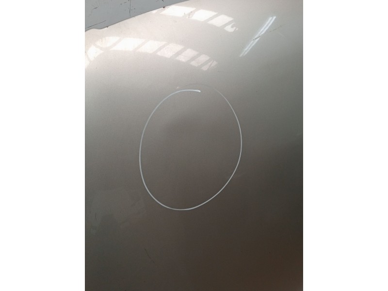 Recambio de capot para volkswagen passat b6 (3c2) 2.0 tdi 16v referencia OEM IAM   