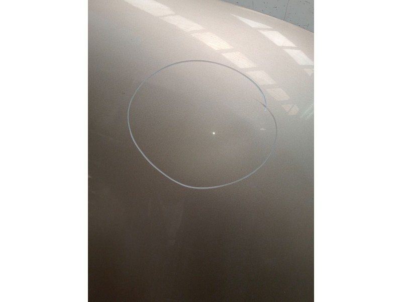 Recambio de capot para volkswagen passat b6 (3c2) 2.0 tdi 16v referencia OEM IAM   