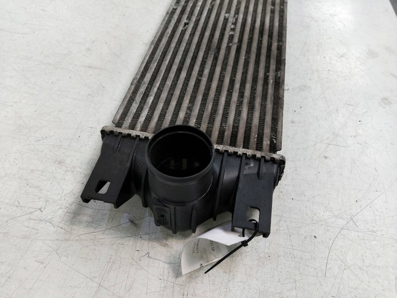 Recambio de intercooler para opel movano referencia OEM IAM 867658F  