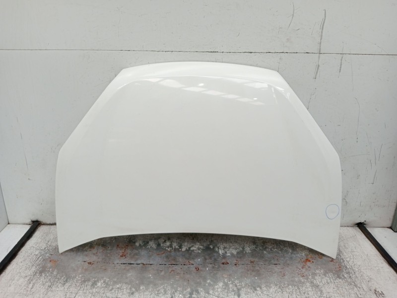 Recambio de capot para fiat doblo cargo (263_) 1.3 d multijet (263wxu1a) referencia OEM IAM   