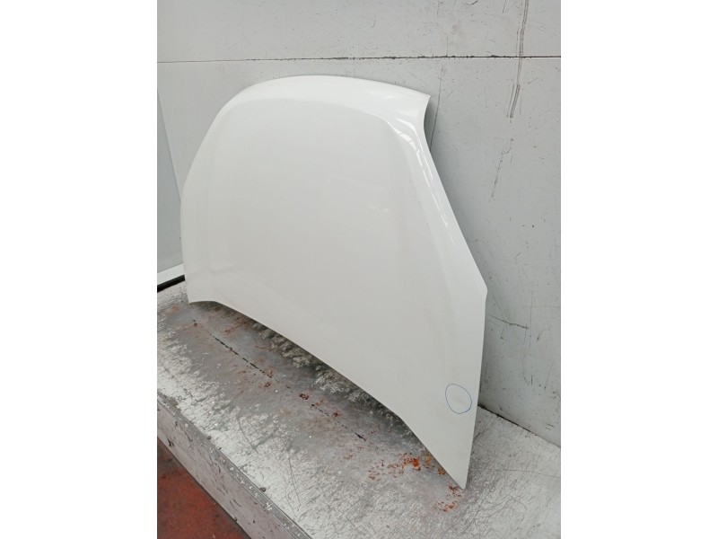 Recambio de capot para fiat doblo cargo (263_) 1.3 d multijet (263wxu1a) referencia OEM IAM   