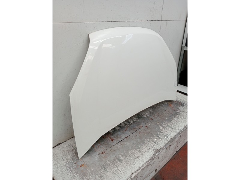 Recambio de capot para fiat doblo cargo (263_) 1.3 d multijet (263wxu1a) referencia OEM IAM   