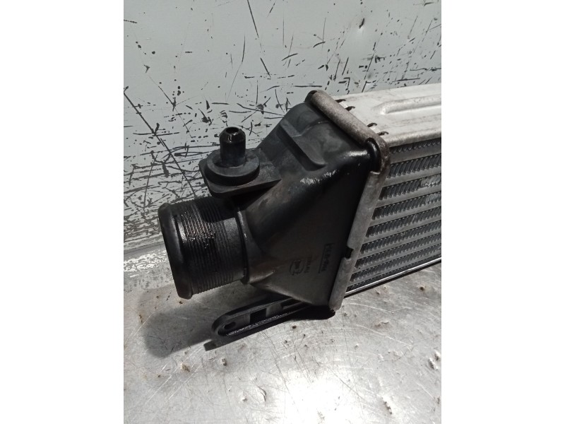 Recambio de intercooler para fiat doblo cargo (263_) 1.3 d multijet (263wxu1a) referencia OEM IAM 866455500  