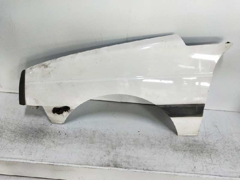 Recambio de aleta delantera izquierda para citroen visa ii 1.1 (109) referencia OEM IAM   