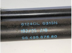 Recambio de amortiguadores maletero / porton para peugeot 1007 1.4 referencia OEM IAM 9649587680   2