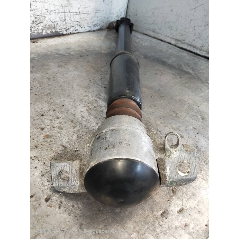 Recambio de amortiguador trasero izquierdo para audi a5 coupe (8t) 3.0 tdi quattro referencia OEM IAM 8K0513035L  