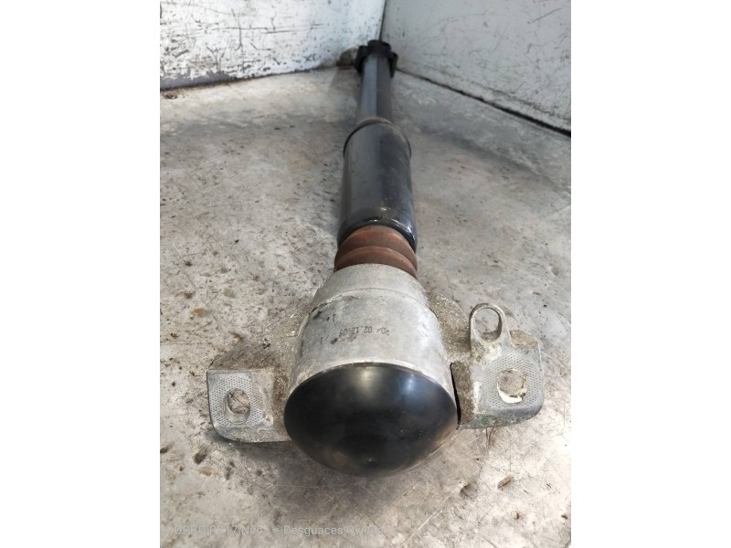 Recambio de amortiguador trasero izquierdo para audi a5 coupe (8t) 3.0 tdi quattro referencia OEM IAM 8K0513035L  