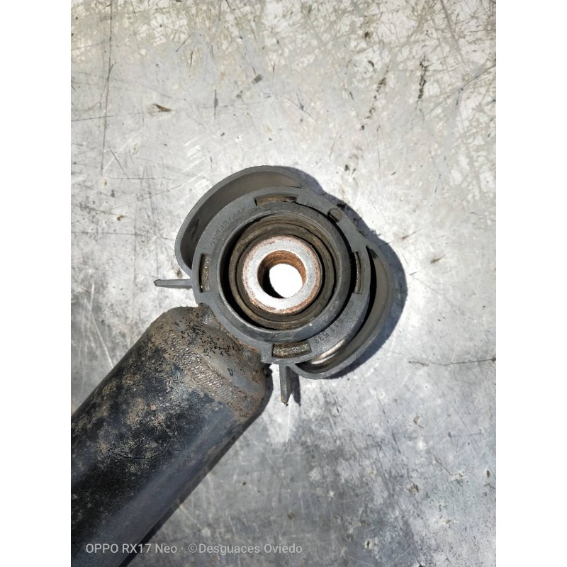 Recambio de amortiguador trasero izquierdo para audi a5 coupe (8t) 3.0 tdi quattro referencia OEM IAM 8K0513035L  