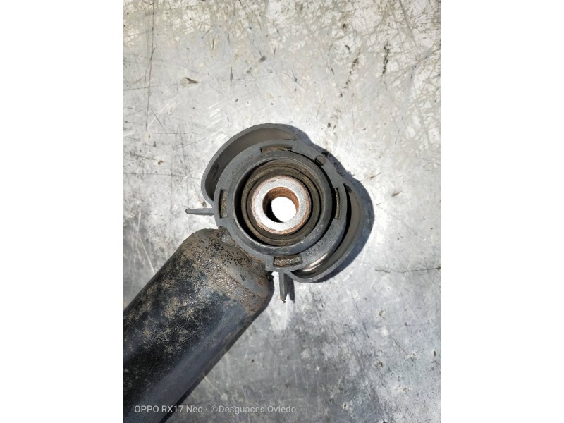 Recambio de amortiguador trasero izquierdo para audi a5 coupe (8t) 3.0 tdi quattro referencia OEM IAM 8K0513035L  