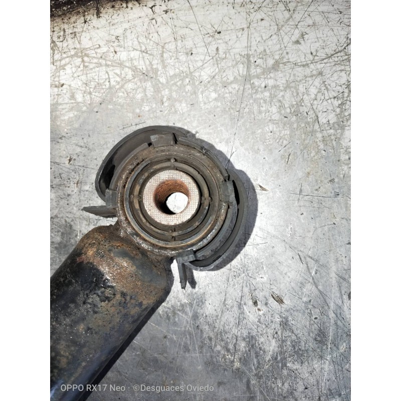 Recambio de amortiguador trasero izquierdo para audi a5 coupe (8t) 3.0 tdi quattro referencia OEM IAM 8K0513035L  