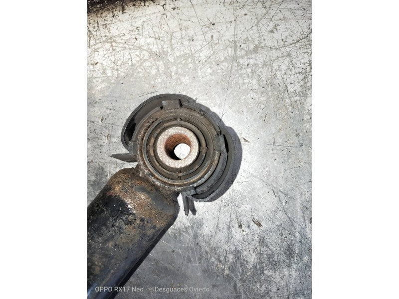 Recambio de amortiguador trasero izquierdo para audi a5 coupe (8t) 3.0 tdi quattro referencia OEM IAM 8K0513035L  