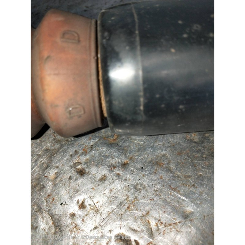 Recambio de amortiguador trasero izquierdo para audi a5 coupe (8t) 3.0 tdi quattro referencia OEM IAM 8K0513035L  