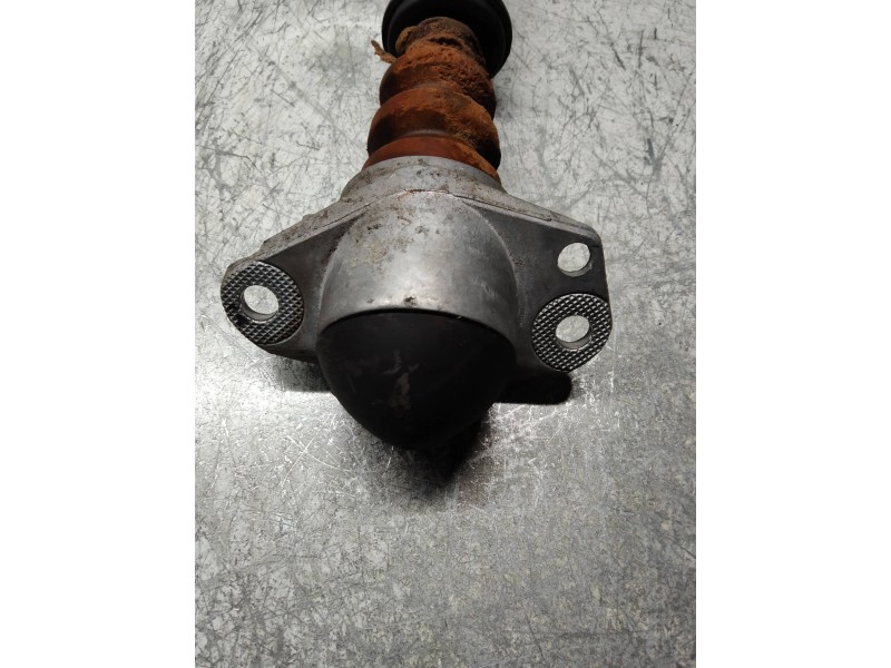 Recambio de amortiguador trasero derecho para volkswagen polo (6r1) advance referencia OEM IAM 6R0513025 6R0512011 844902001883 