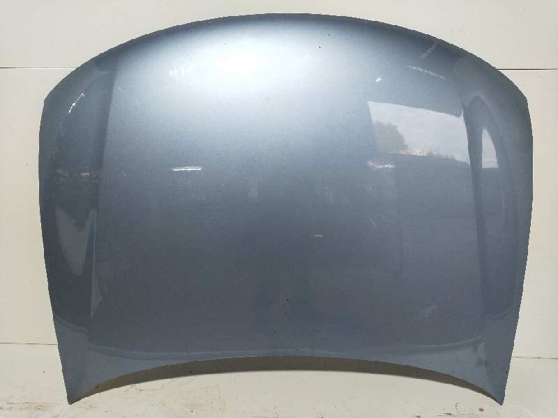 Recambio de capot para volkswagen passat berlina (3b2) highline syncro / 4motion referencia OEM IAM   