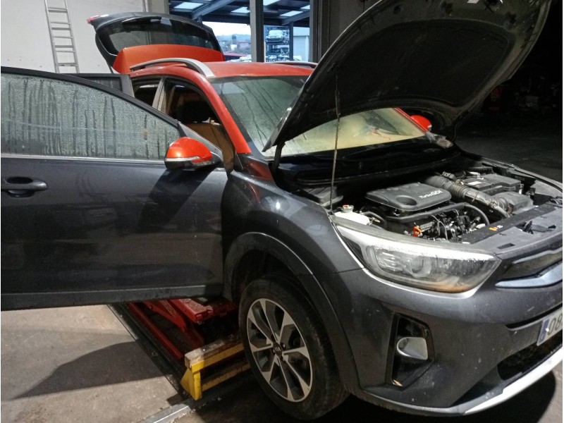 kia stonic (ybcuv) del año 2019
