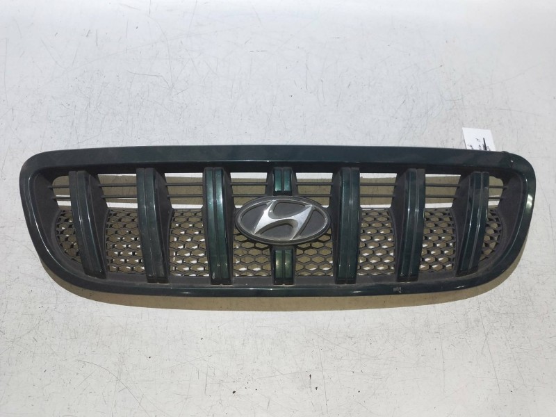 Recambio de rejilla delantera para hyundai terracan (hp) 2.9 crdi gl referencia OEM IAM   