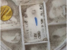 Recambio de bomba combustible para mercedes clase e (w211) berlina e 400 cdi (211.028) referencia OEM IAM 058036302   2