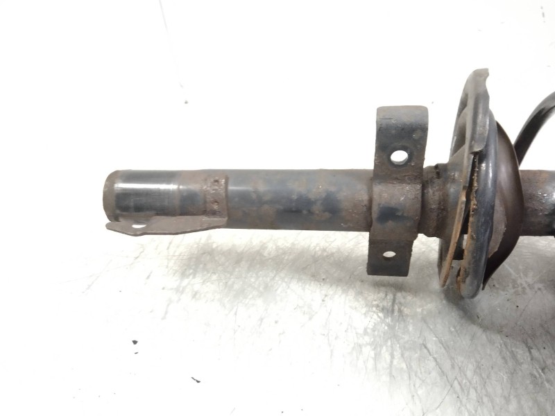 Recambio de amortiguador delantero derecho para renault scenic ii authentique referencia OEM IAM   