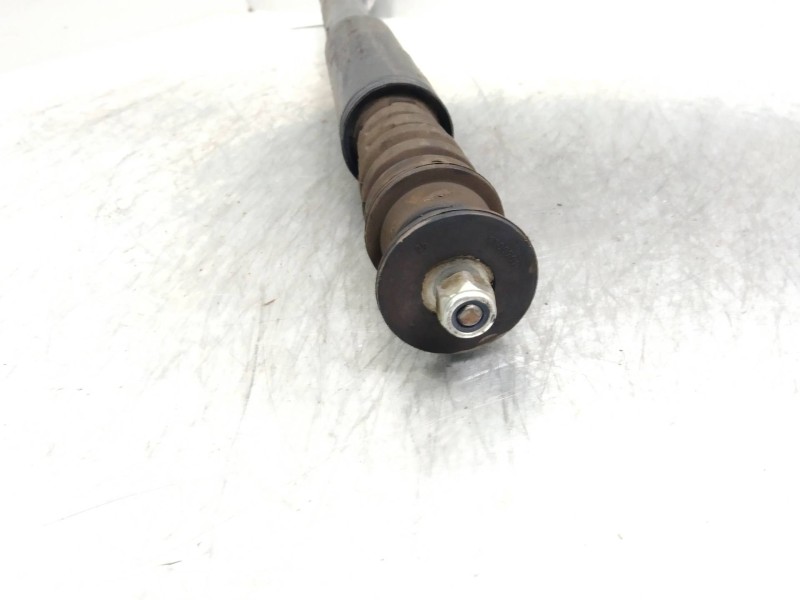 Recambio de amortiguador trasero para renault clio iii authentique referencia OEM IAM   