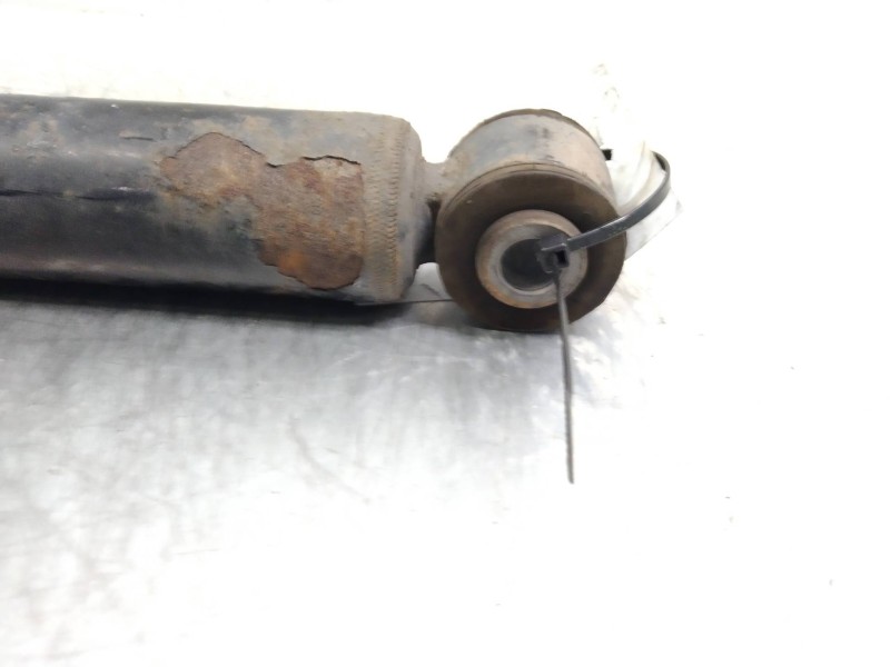 Recambio de amortiguador trasero para renault clio iii authentique referencia OEM IAM   