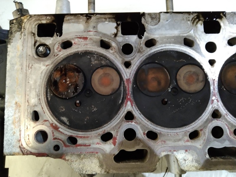 Recambio de culata para renault kangoo profesional referencia OEM IAM K9KB8  