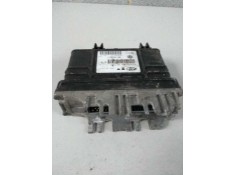 Recambio de centralita motor uce para seat ibiza (6k) referencia OEM IAM IAW1AVV4 6160036401 6K0906030A