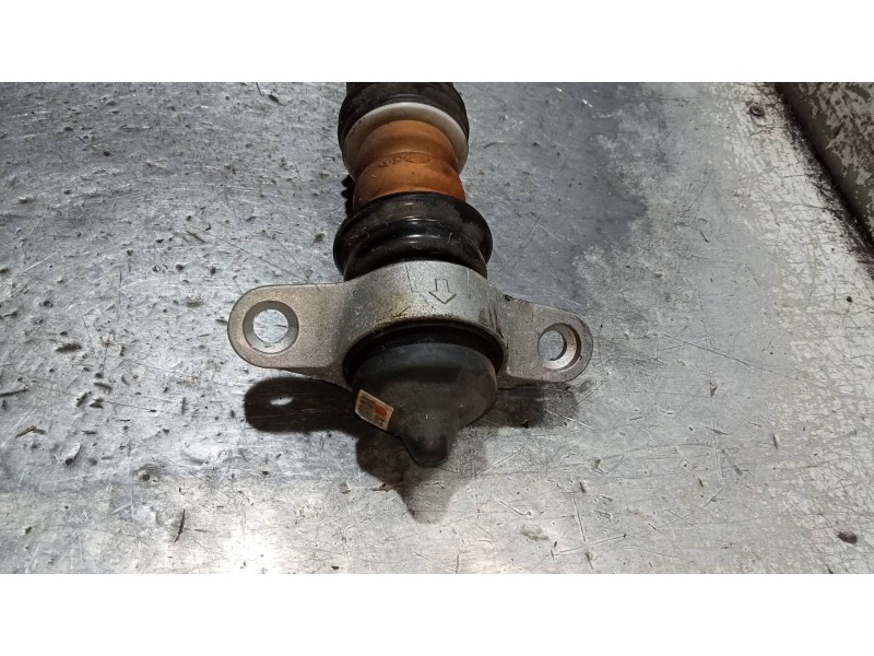 Recambio de amortiguador trasero derecho para kia rio (yb) drive referencia OEM IAM 55300H8200  