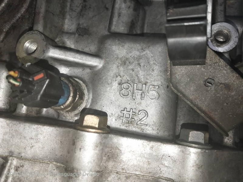 Recambio de caja cambios para nissan primera berlina (p12) 2.2 16v turbodiesel cat referencia OEM IAM 8H5  