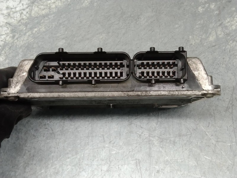 Recambio de centralita motor uce para volkswagen golf iv berlina (1j1) básico referencia OEM IAM 5WP444803 06A906019BQ 