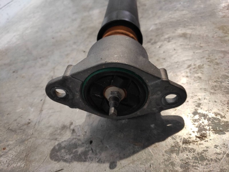 Recambio de amortiguador trasero izquierdo para ford ecosport (cr6) titanium referencia OEM IAM   